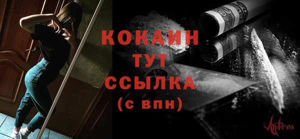 гашик Белоозёрский