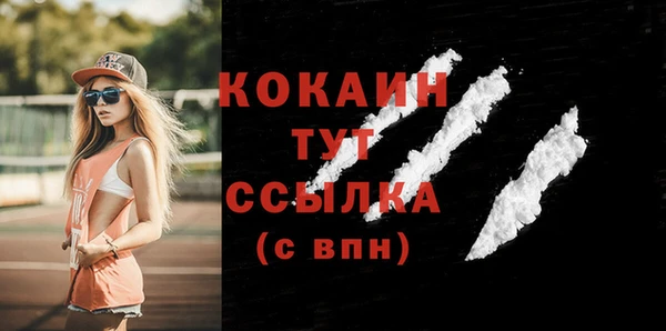индика Балахна