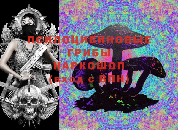 гашик Белоозёрский