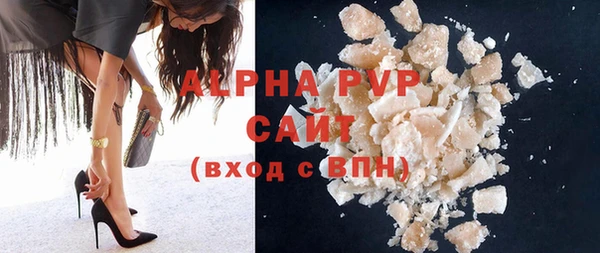 индика Балахна