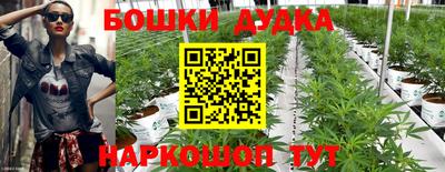 тгк Краснокаменск